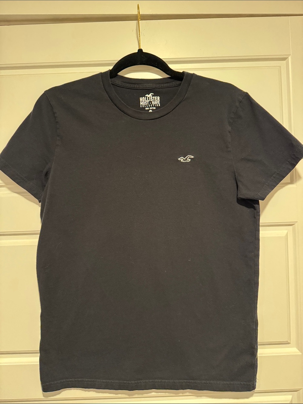 Hollister Crew Neck Tee with Small White Seagull Logo